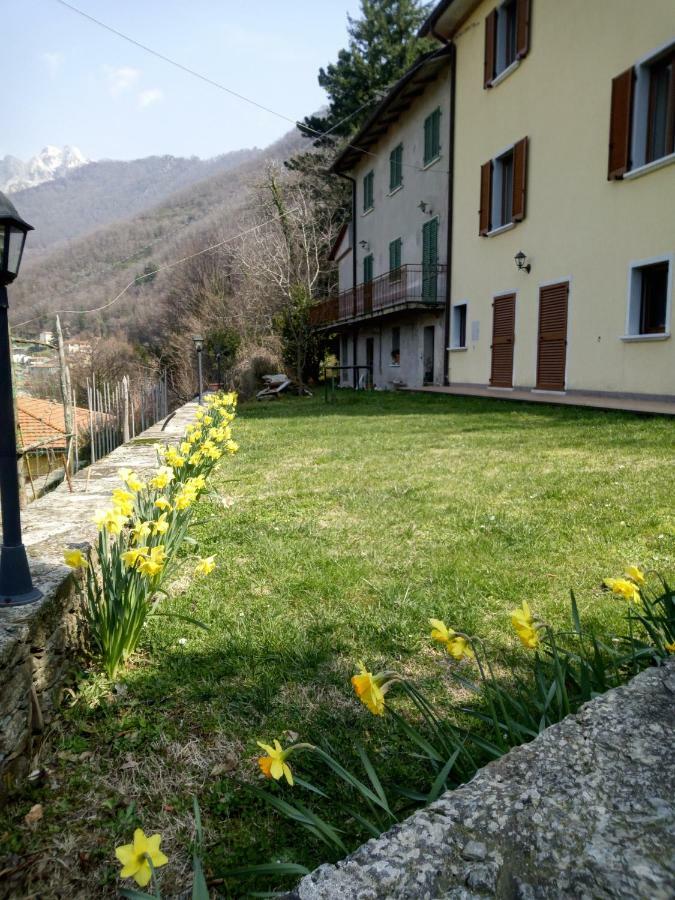 Monti Mare Villa Seravezza Dış mekan fotoğraf