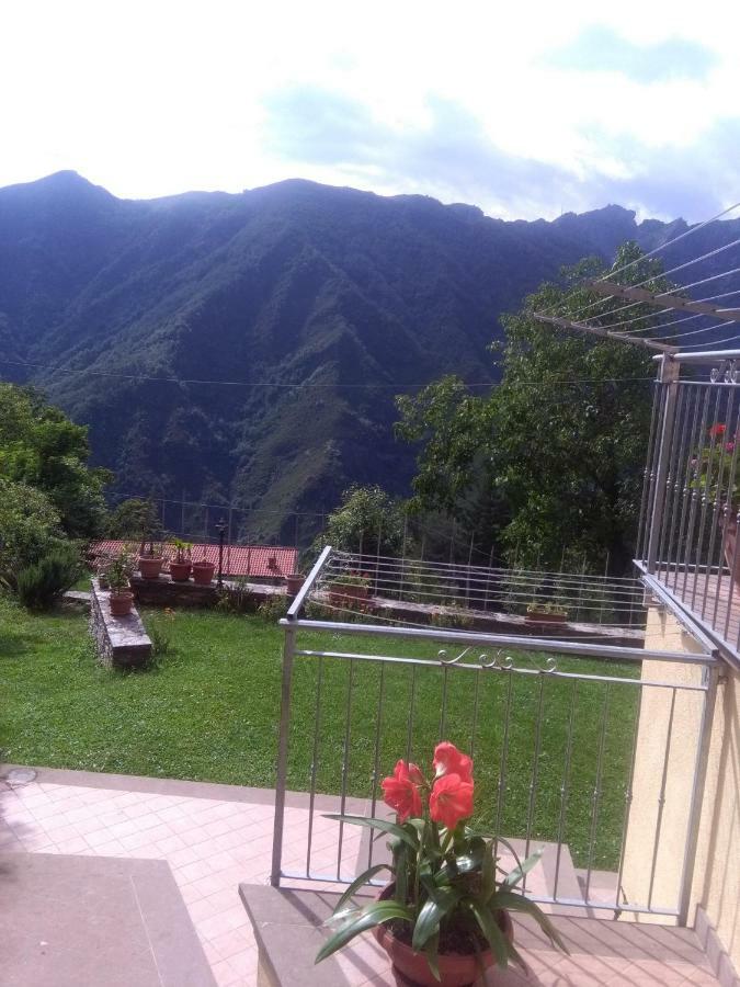 Monti Mare Villa Seravezza Dış mekan fotoğraf